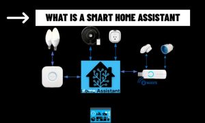 What is a Smart Home Assistan